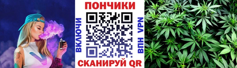 дарнет шоп  Ува  Шишки марихуана SATIVA & INDICA 